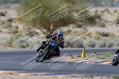 media/Apr-14-2024-SoCal Trackdays (Sun) [[70f97d3d4f]]/1-Turn 5 Tree of Life (920am)/